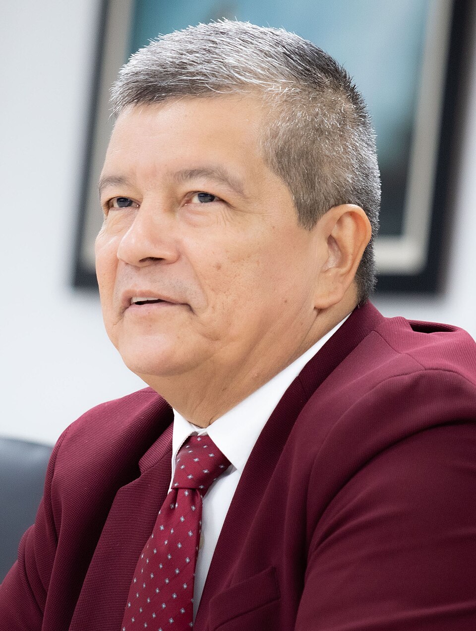 Manuel de Jesús Mejicanos