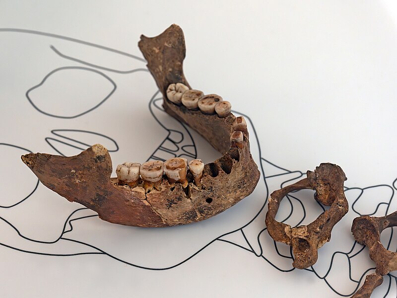 Manuel González Morales