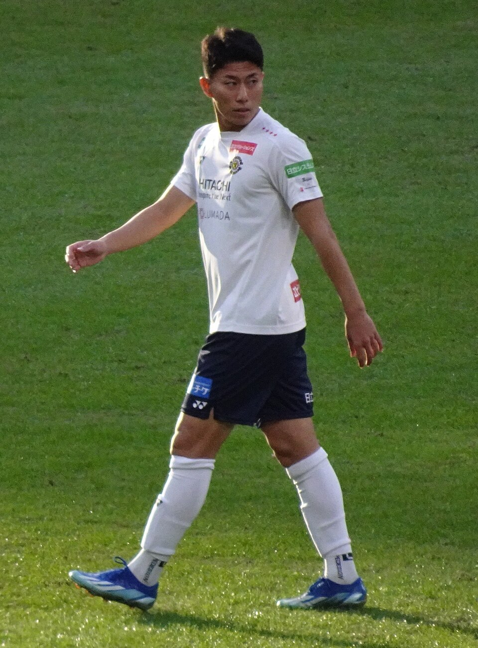 Mao Hosoya