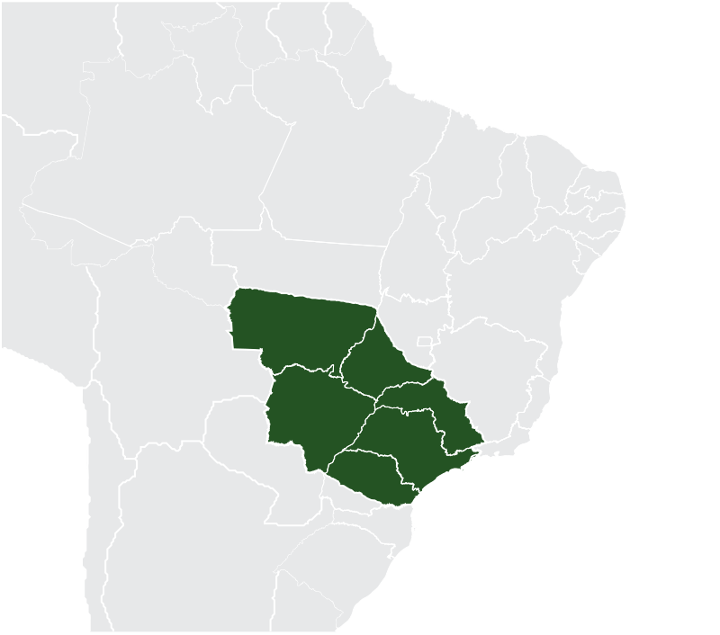 Marcelo Corrêa Bastos