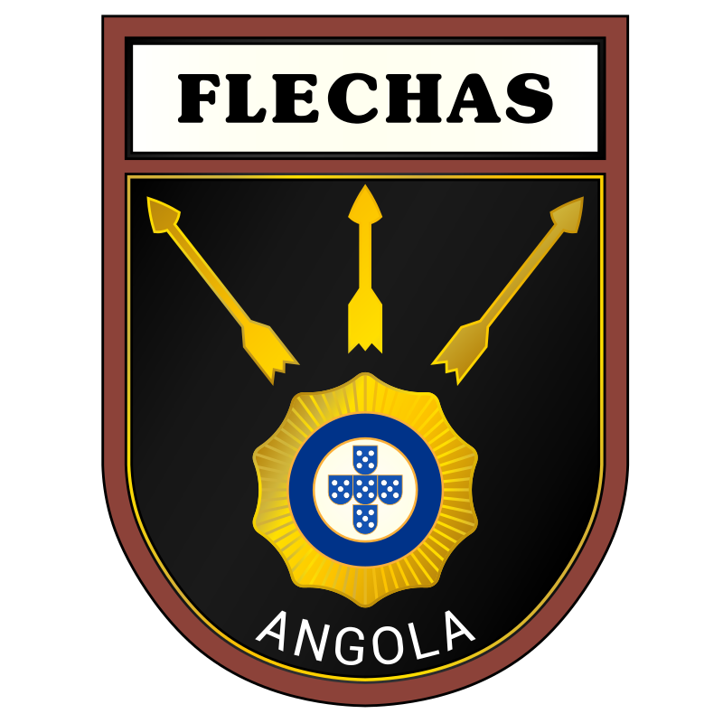 Marcelo Flecha