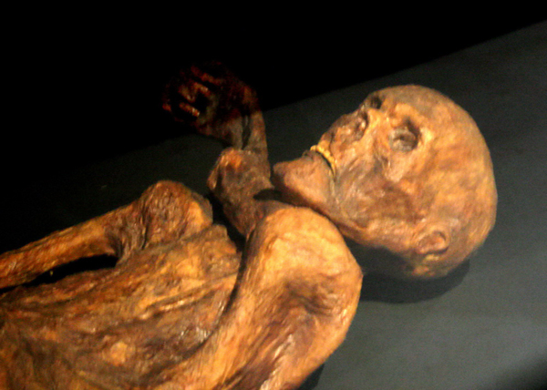 Marco Samadelli