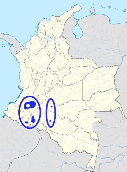 Marcos Páez