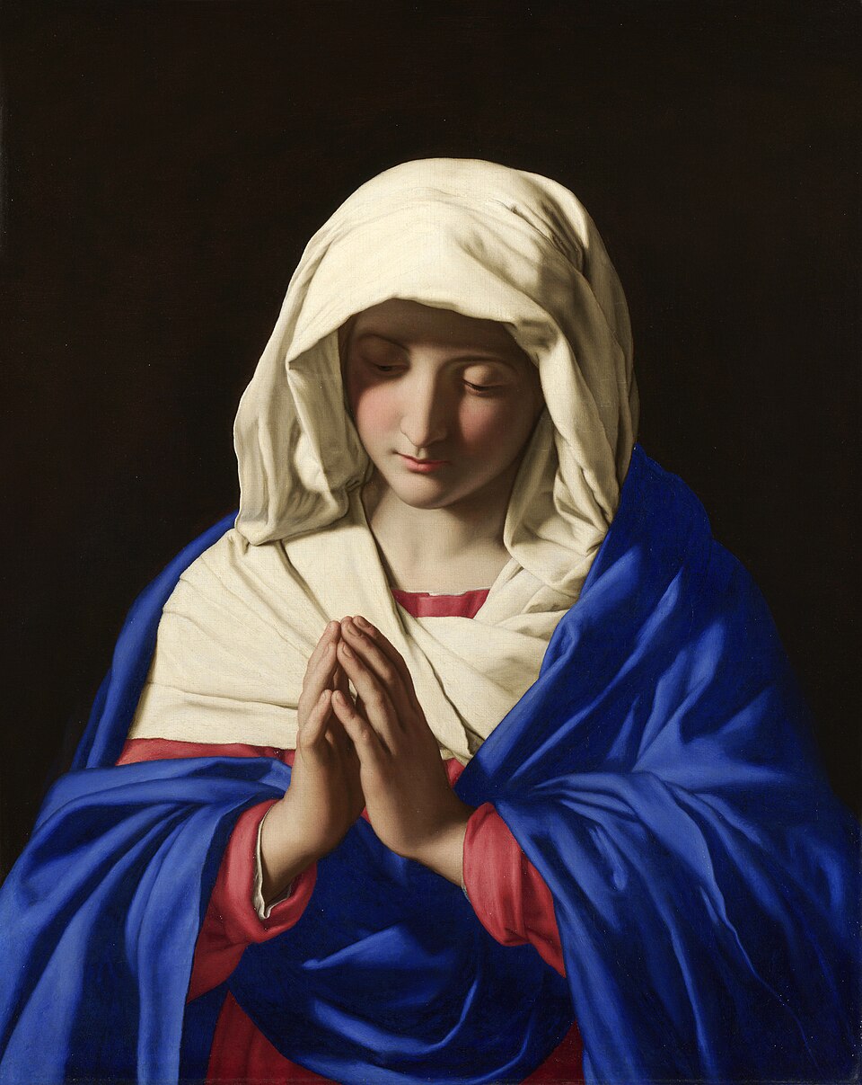 María Fatima Torres L.