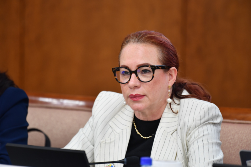 Maria Fernanda Espinosa