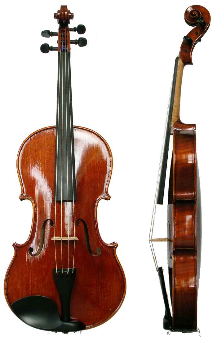 Maria Viola