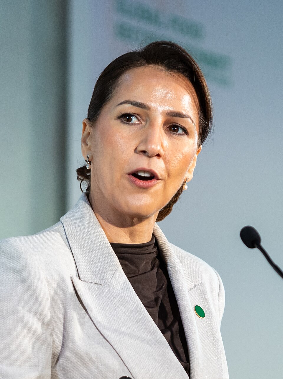 Mariam Rashid Al-Shamsi