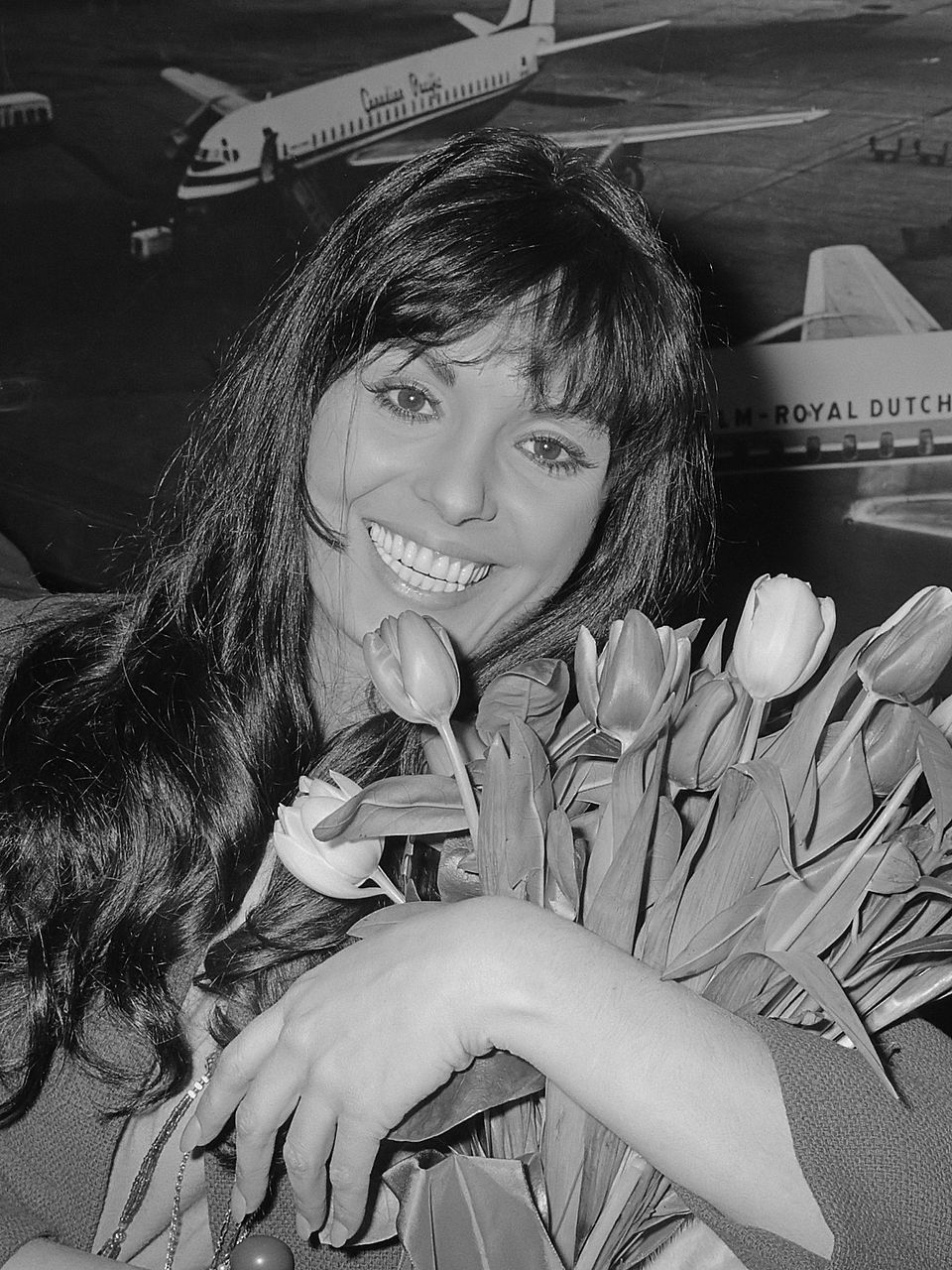 Marie Lavis