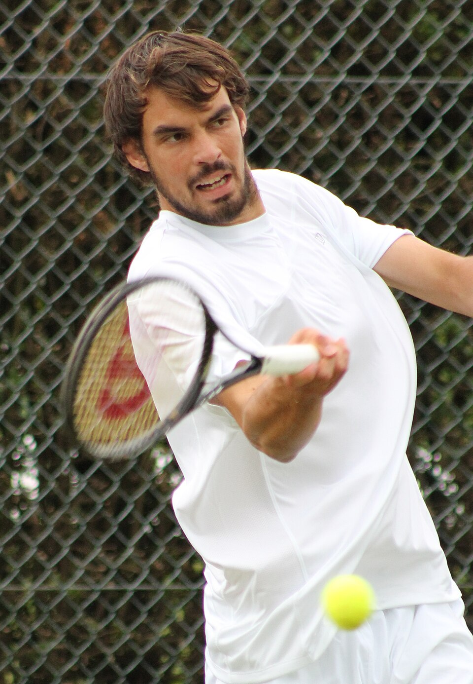 Marin Delić