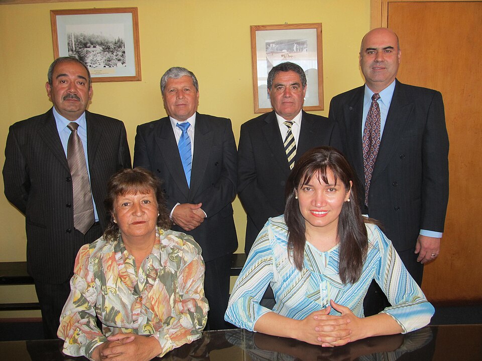 Mario Bustamante Leiva
