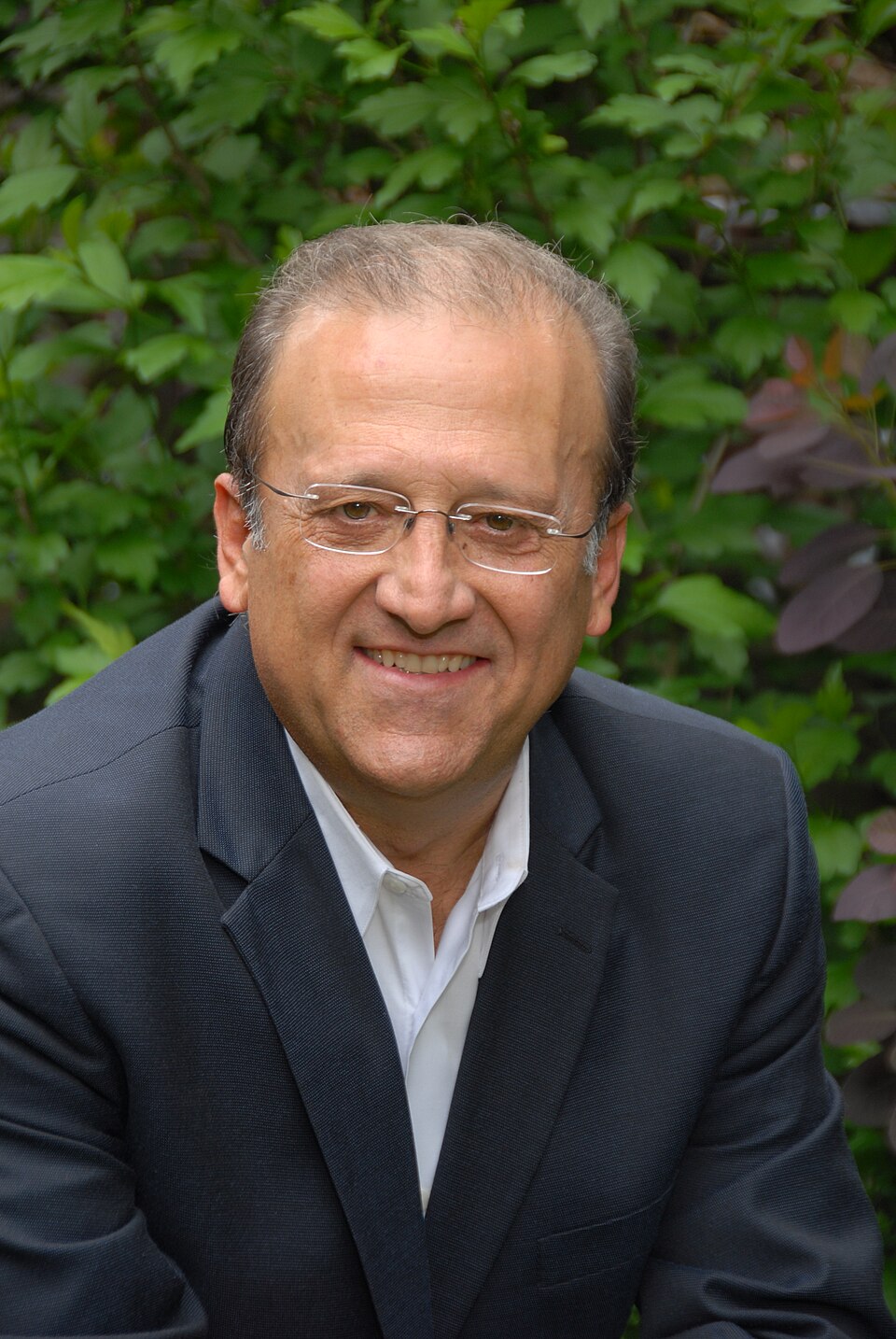 Mário Ferri