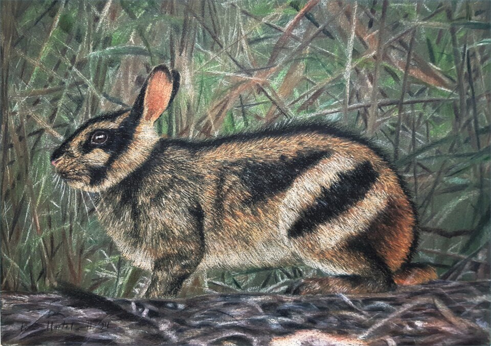 Martialis Puspito