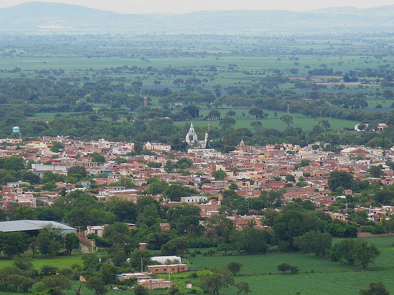 Martín Hidalgo