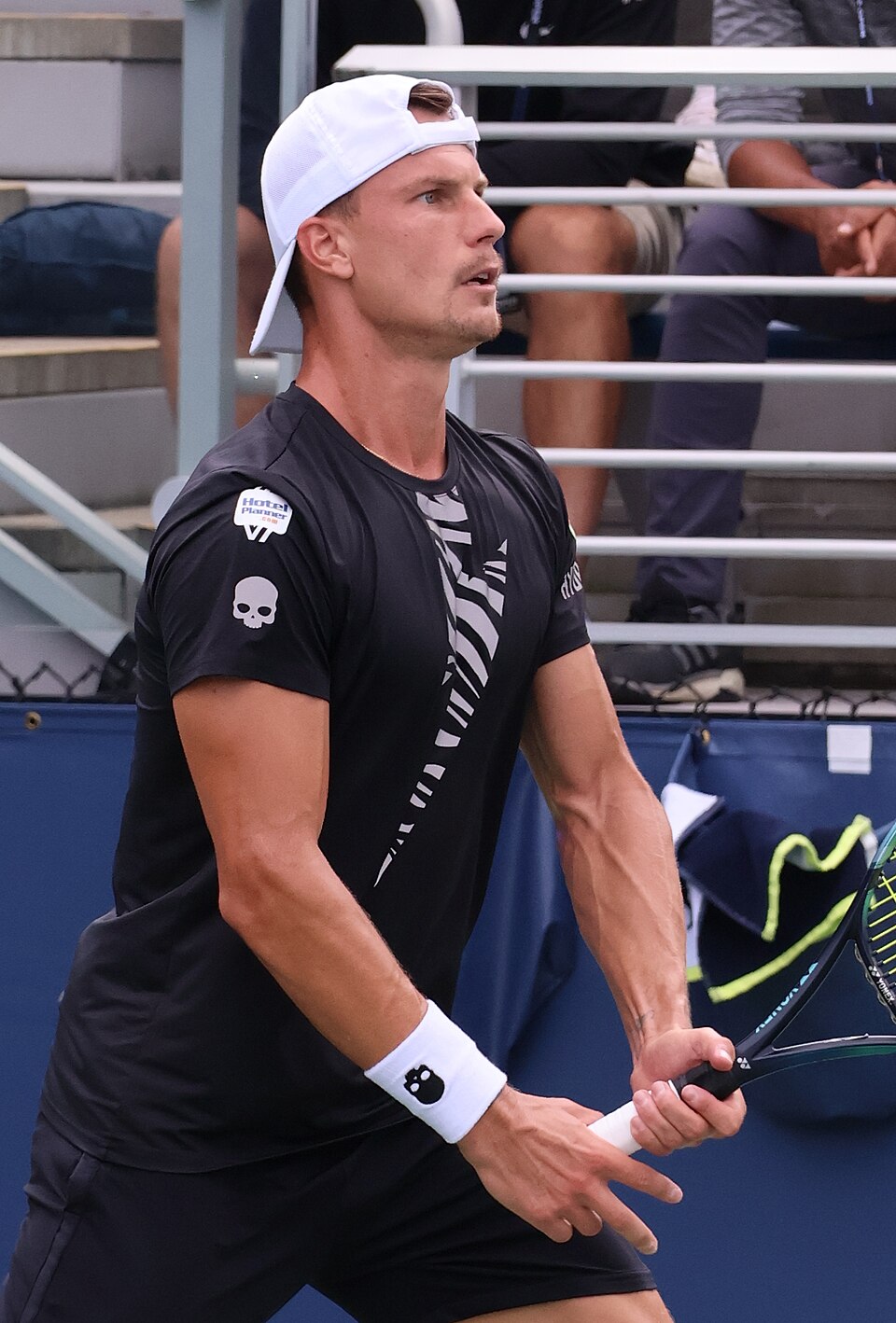 Marton Fucsovic