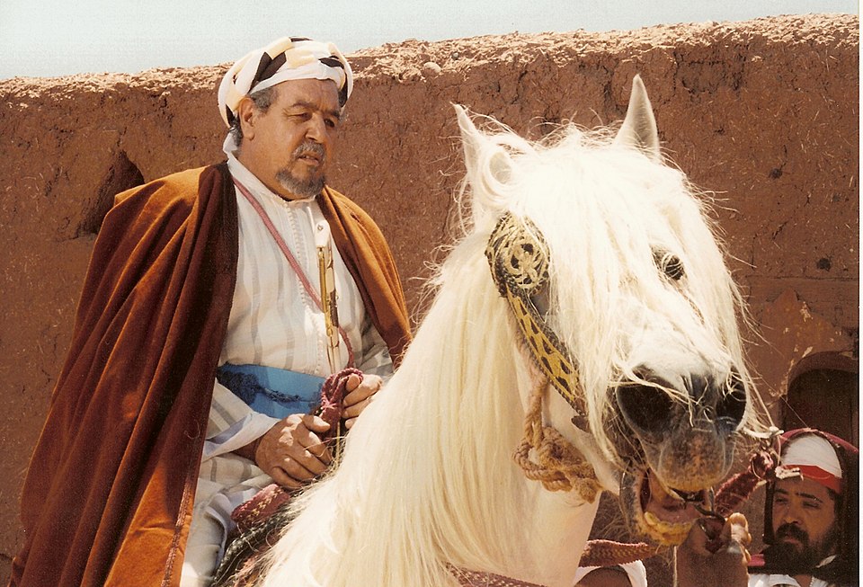 Marwa Al-Hamadi