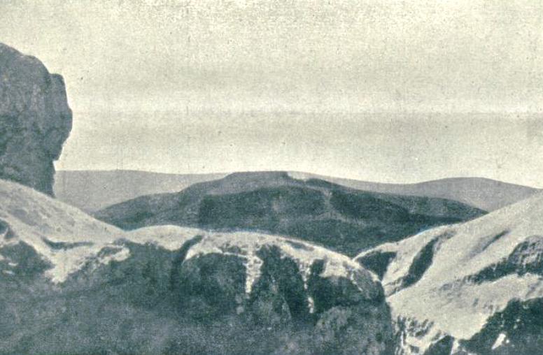 Massimo Mastrogregori