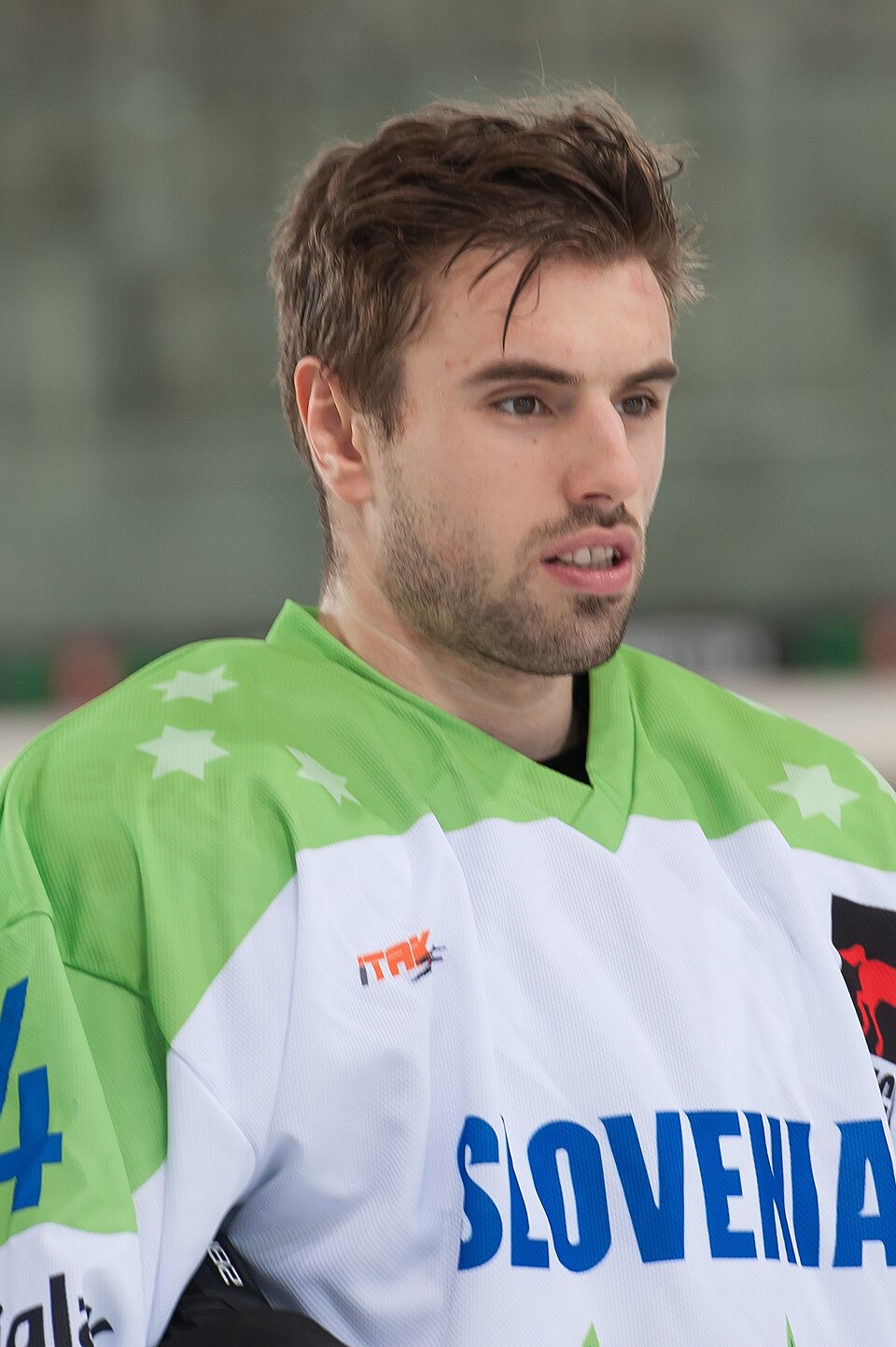 Matic Podlipnik