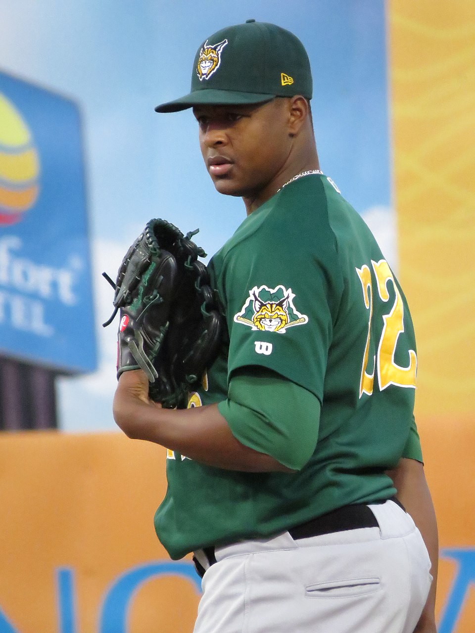 Mauricio Cabrera Leal