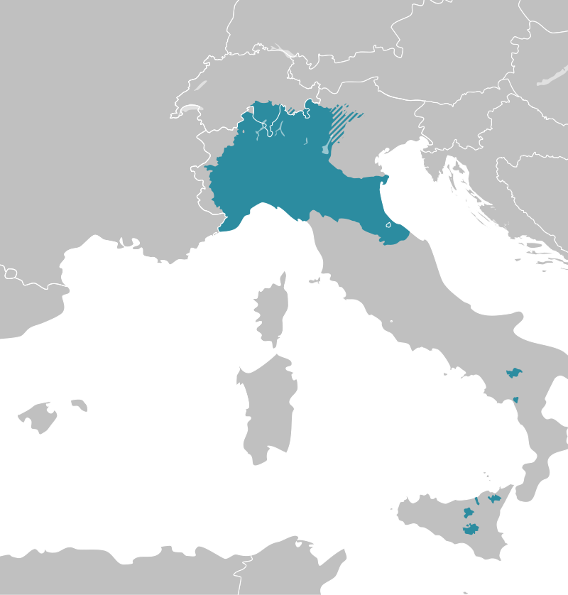 Maurizio Fumo