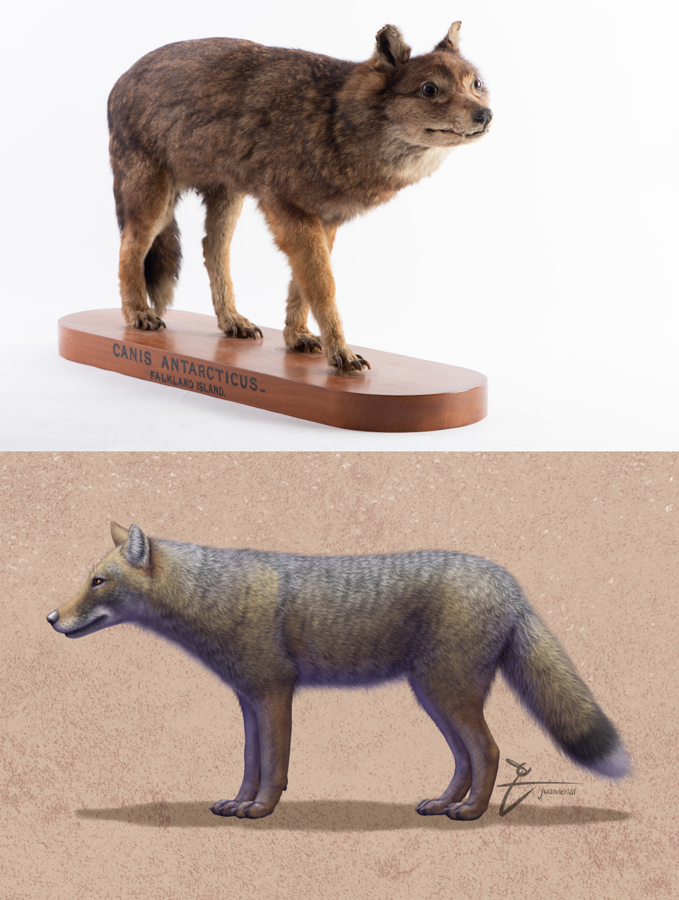 Mauro Francisco Ramírez