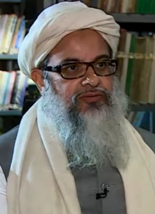 Mehmood Mamdani