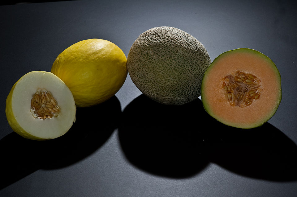 Melons