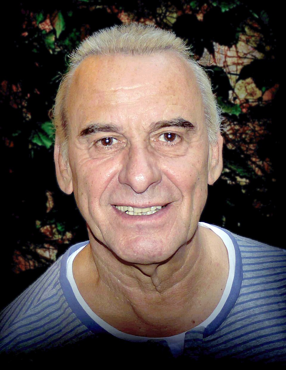 Michel Fugain