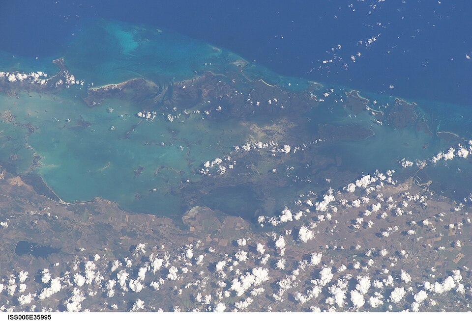 Michel Ortega Casanova