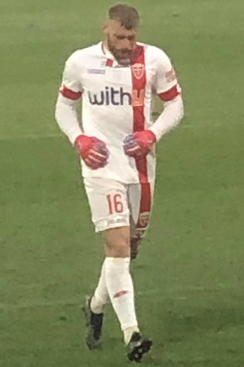 Michele DiGregorio