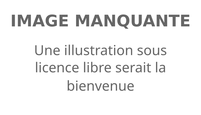 Mickaël Le Mer