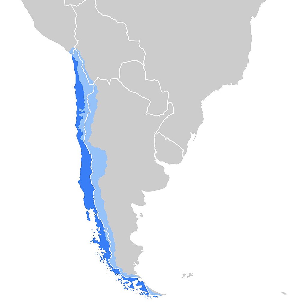 Miguel Ángel Bastenier