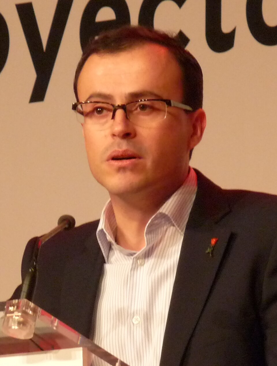 Miguel Ángel Villanueva