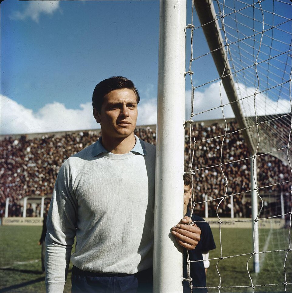 Miguel Fernández Tercero
