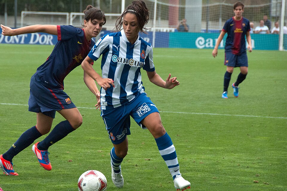 Miguel Llansá