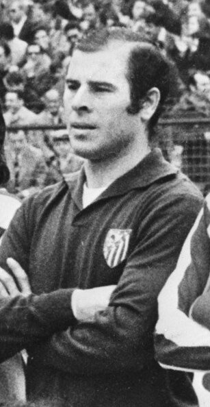 Miguel Reina Santos