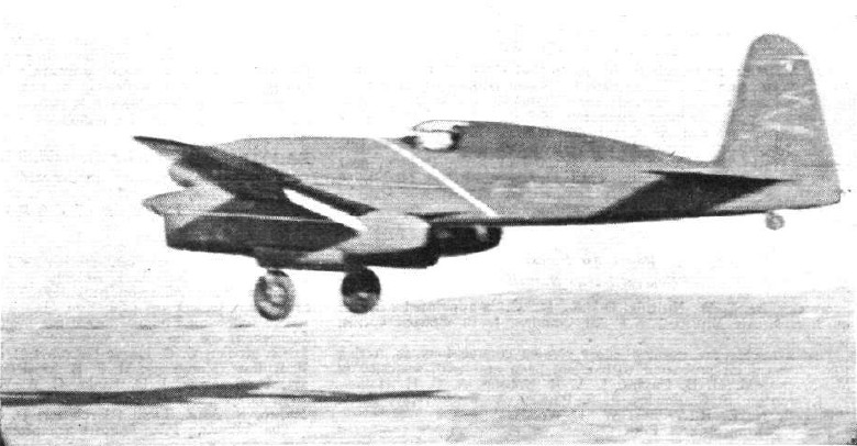 Miha Robinson