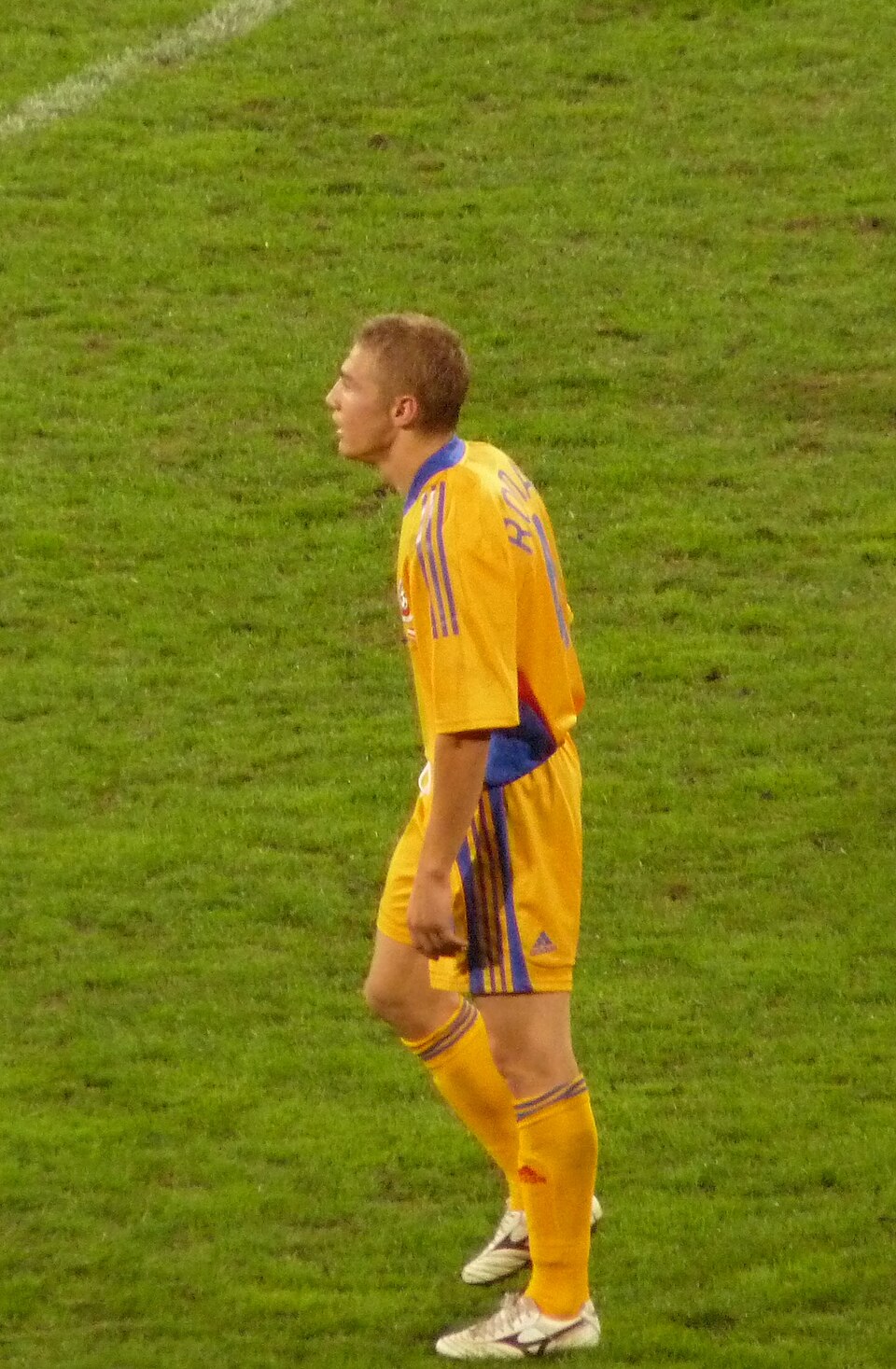 Mihai Roman II