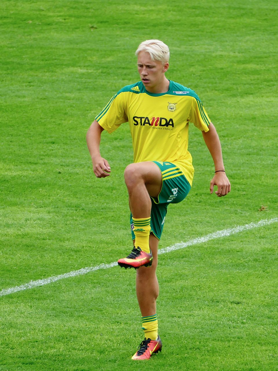 Mikael Soisalo