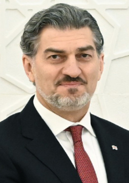 Mikhail Kavelashvili