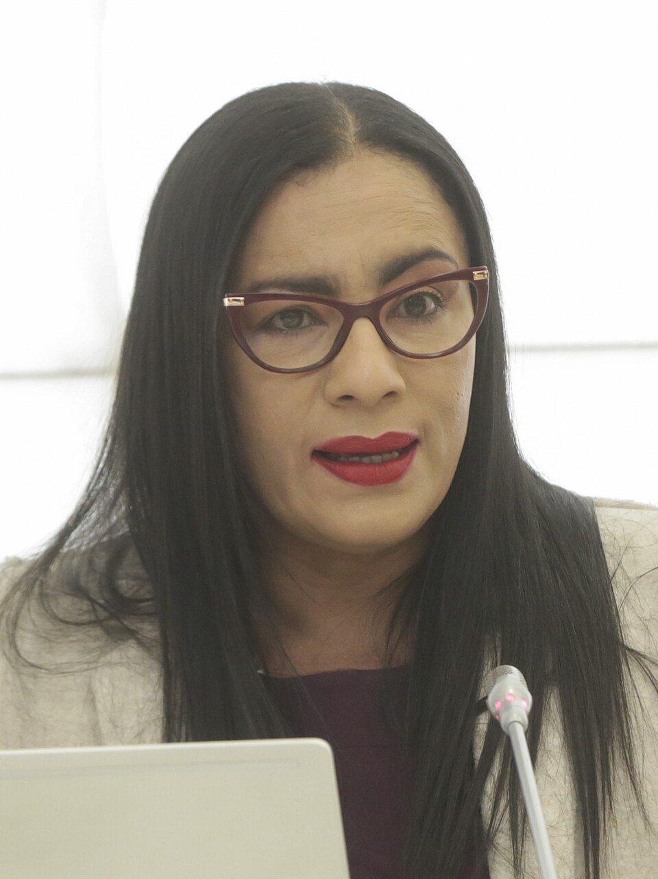 Ministerio de Inclusión Económica y Social