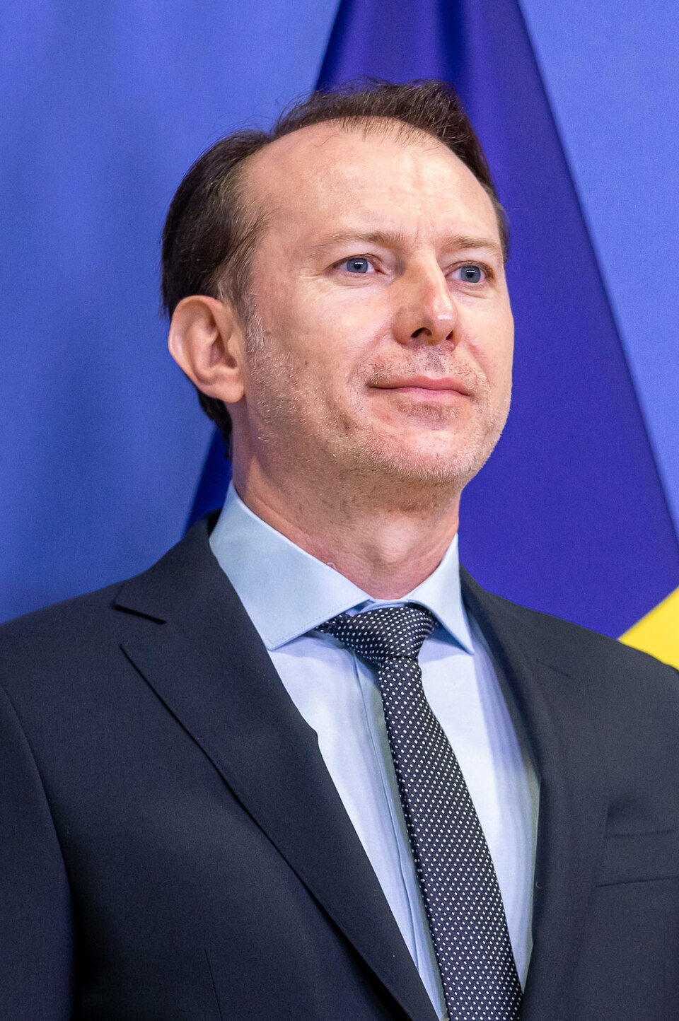 Mișu Negrițoiu
