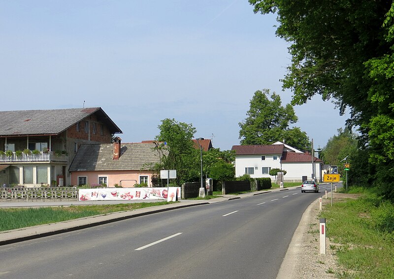 Mitja Kuhar