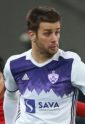 Mitja Viler