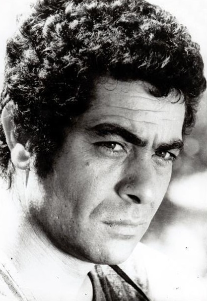 Mohamad Reza Aref