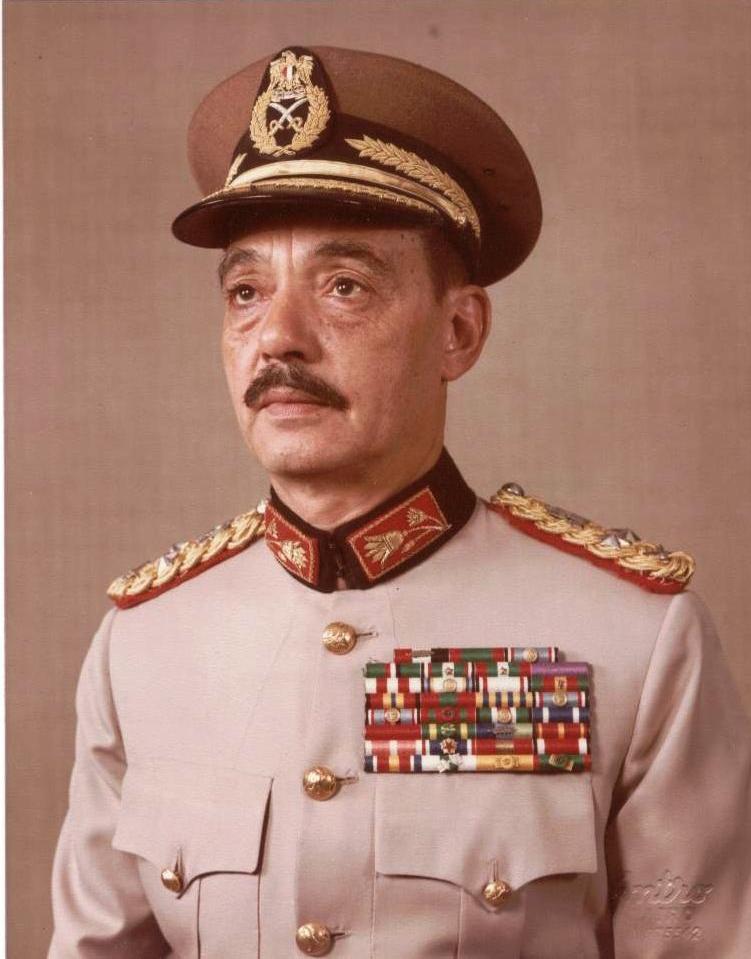 Mohamed Abdel Ghani