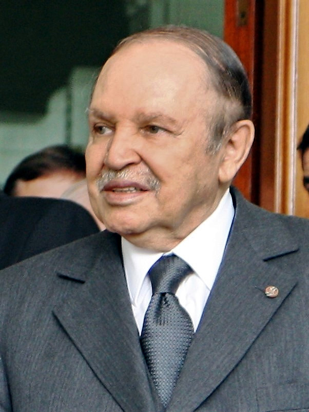 Mohamed Abdelaziz Amer
