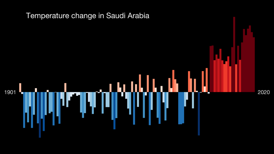 Mohamed Ali Becheikh