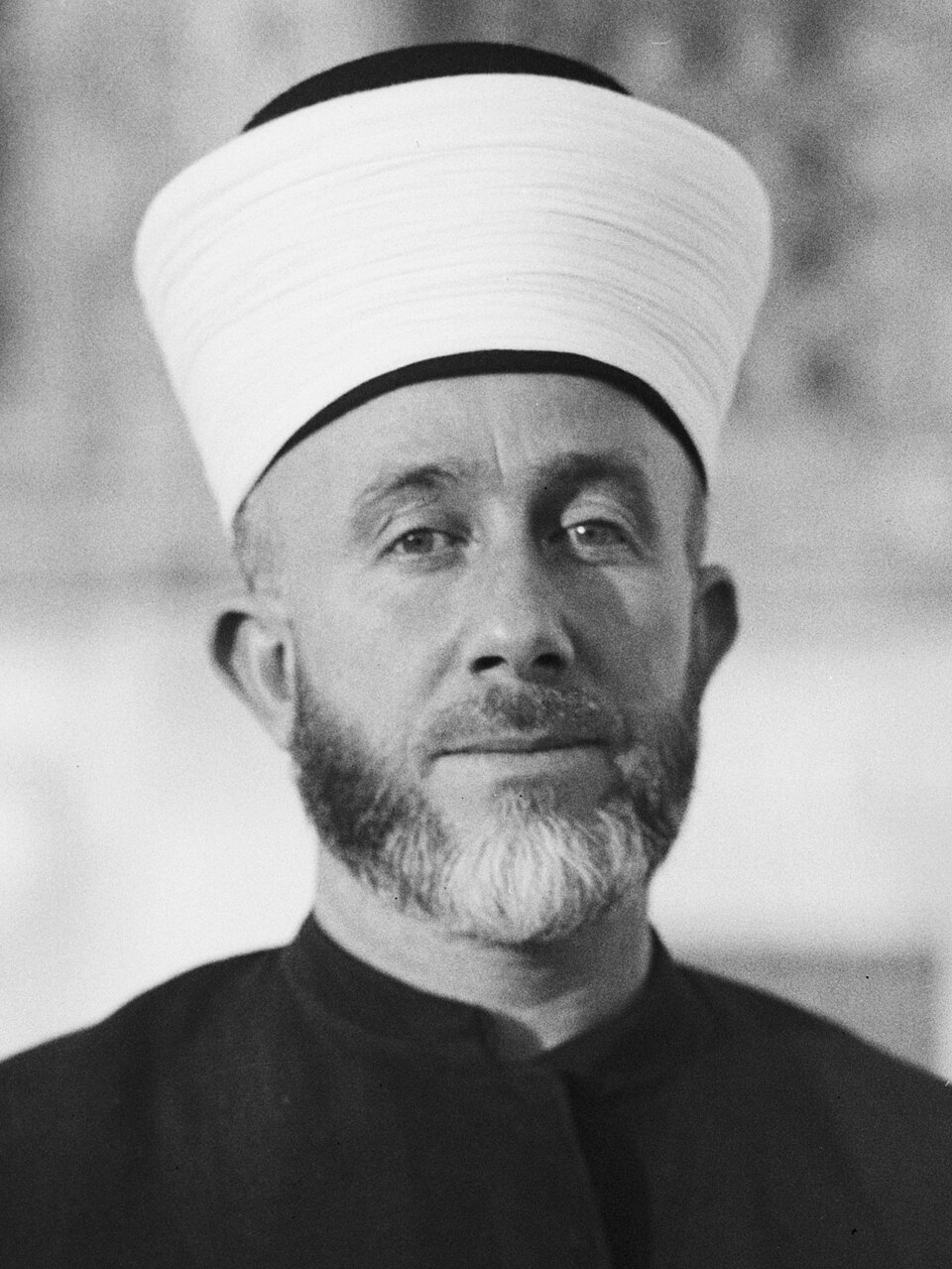 Mohamed Amin Abd Al-Qadir