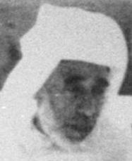 Mohamed Arafa