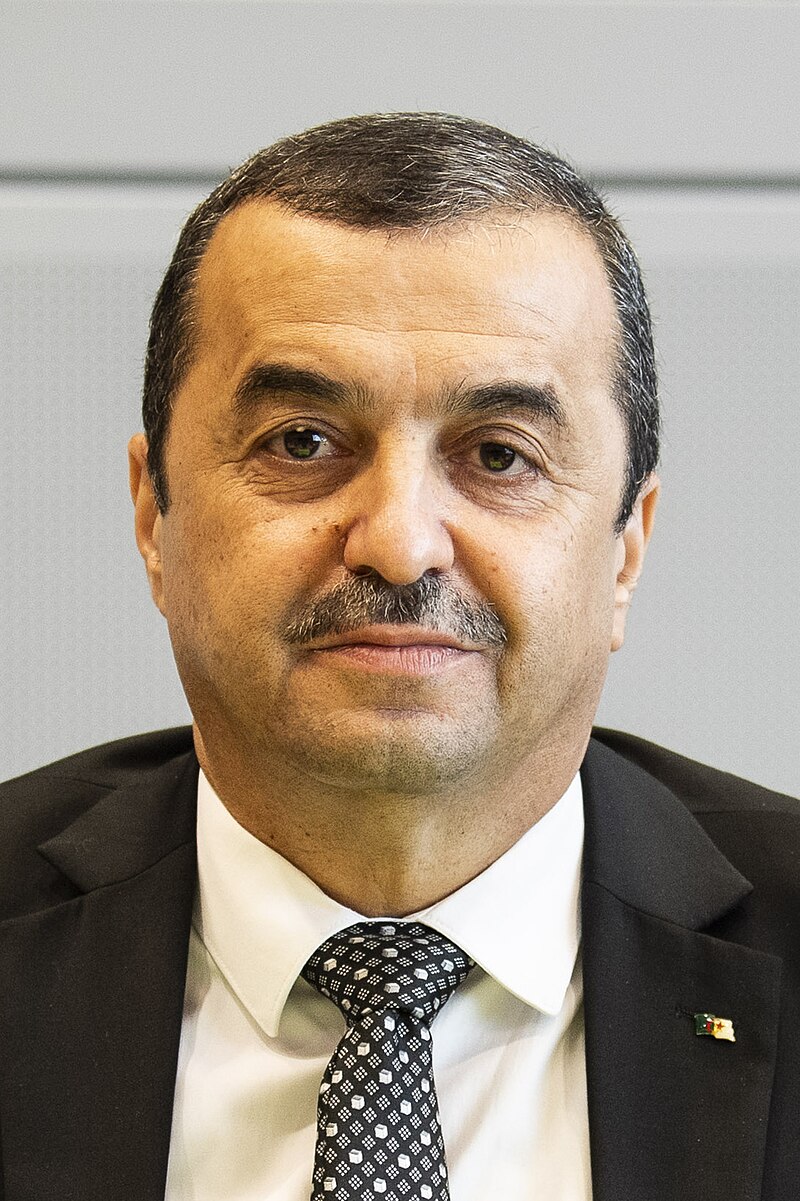 Mohamed Arkab